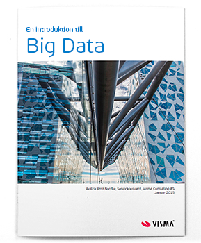 big data guide