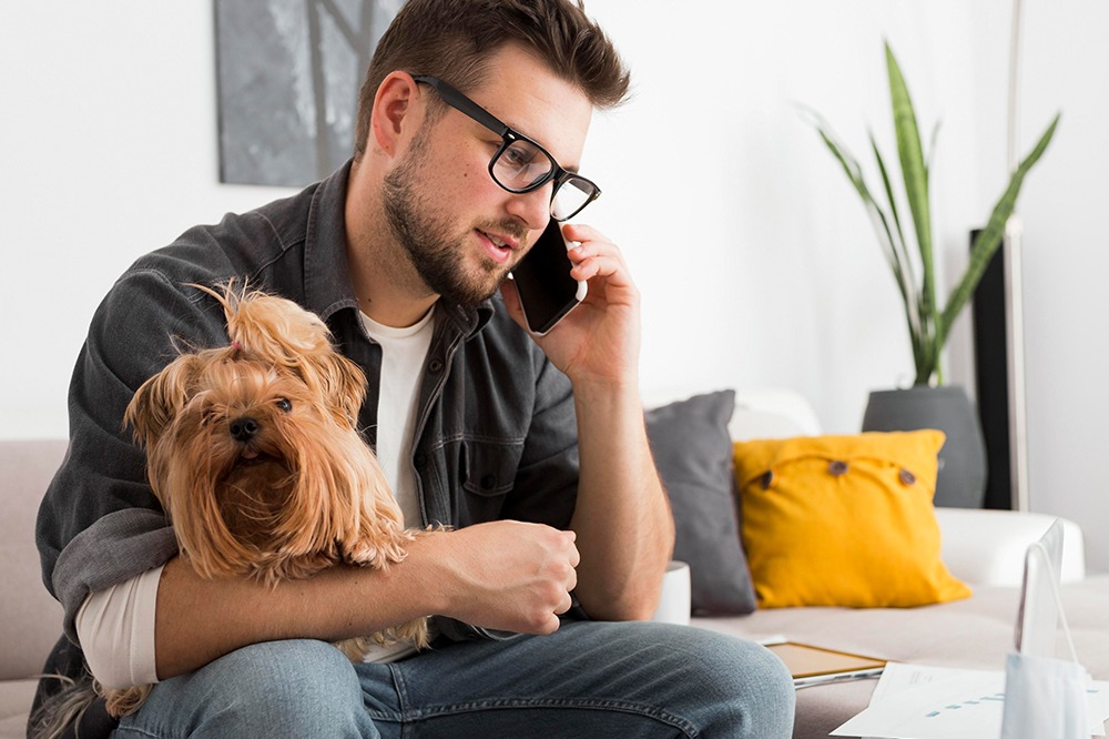 Talar i mobil och arbetar i soffan med hund i knät.