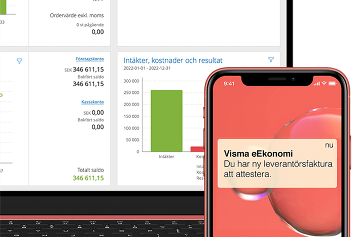 Visma eEkonomi