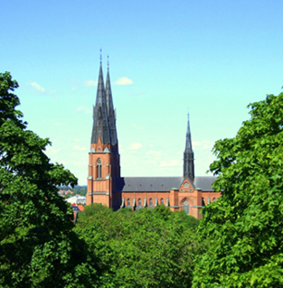 Visma Consulting - Region Uppsala.jpg